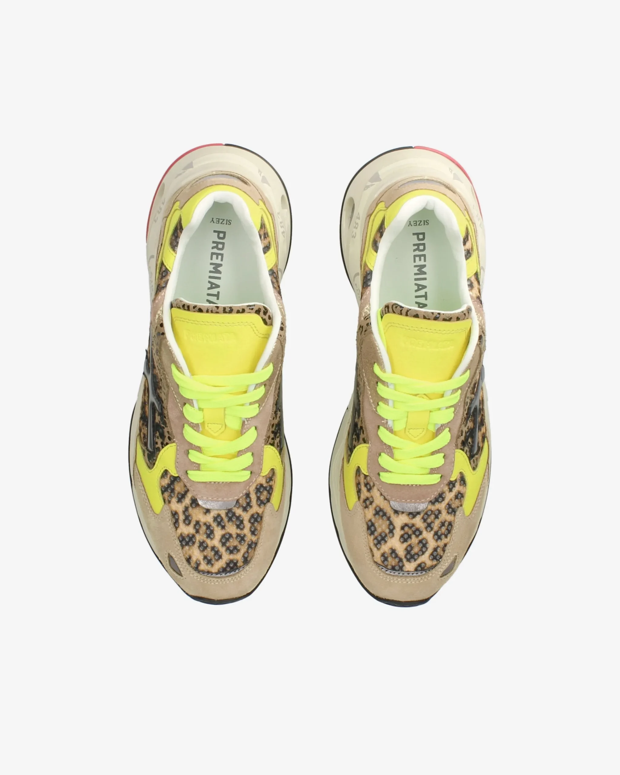 Donna Premiata SHARKYD 365